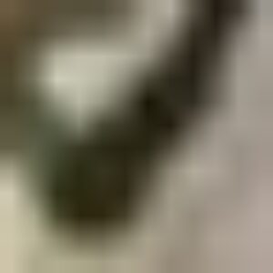 Profile photo of Deng Arrojo